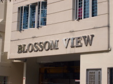 Blossom View #1177432